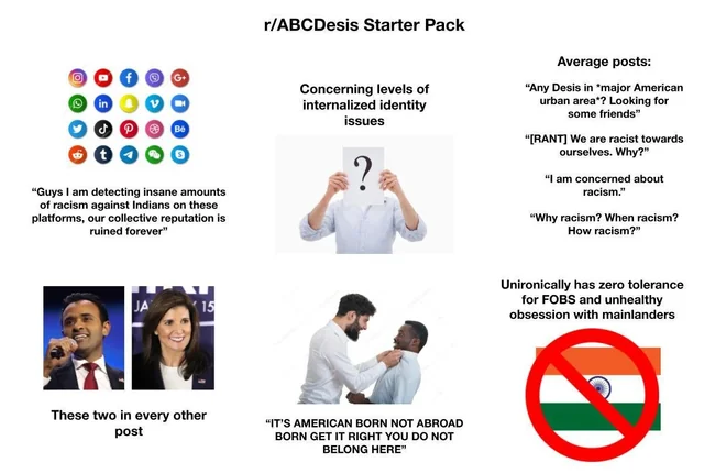 Exploring the Vibrant Community of r/abcdesis